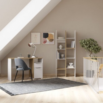 Pack estudio Acces escritorio y estantería_Ambiente