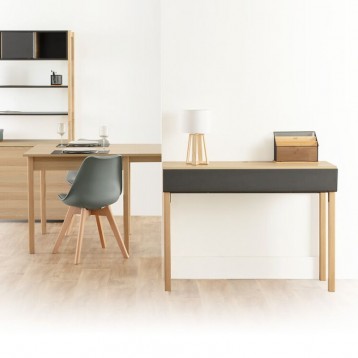 Ambiente Mueble de Entrada Recibidor Extensio Color Roble y Gris