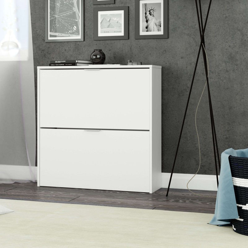 mueble zapatero ambiente 5 mueble zapatero ambiente 5