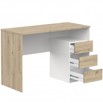 escritorio_harison_detalle_1