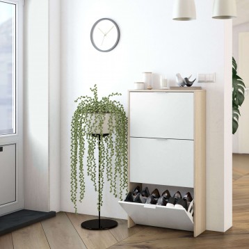 zapatero_recibidor_ambiente_5