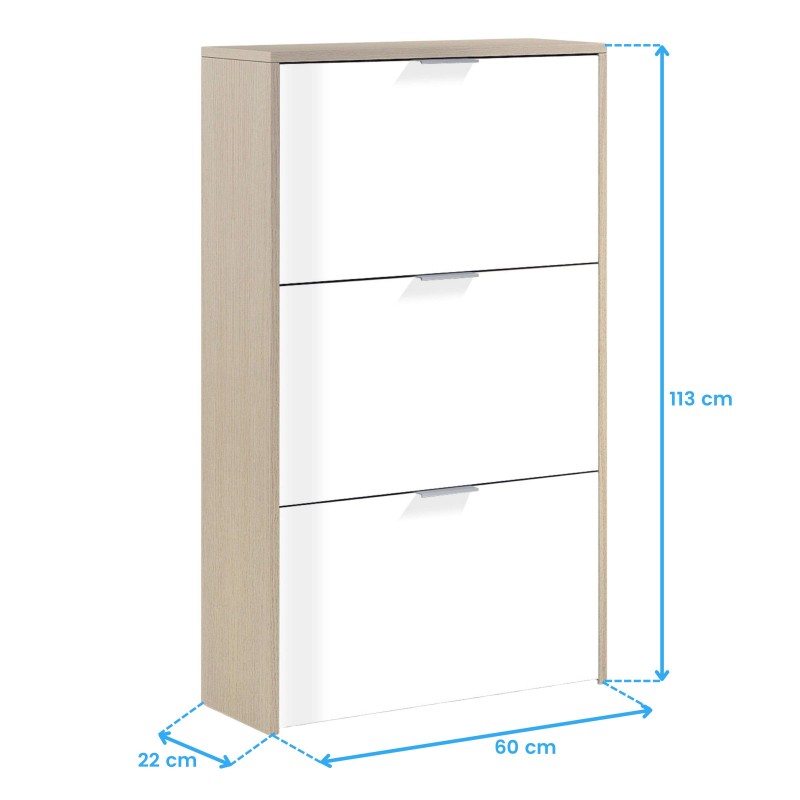 zapatero_recibidor_cotas_6