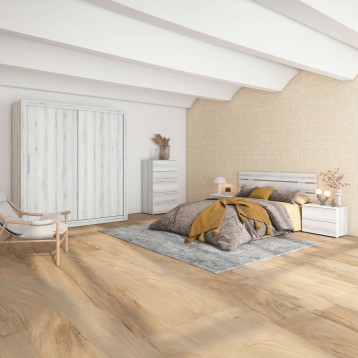 sinfonier lyon ambiente 5