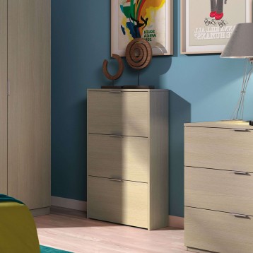 Zapatero recibidor creatividad