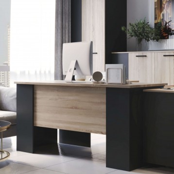 Escritorio Nibis Ambiente 1