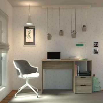 escritorio Eko ambiente  4