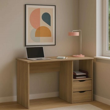 scritorio Eko ambiente 5