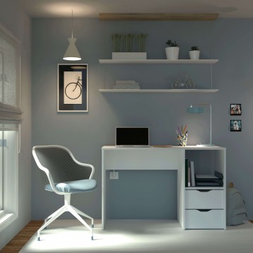 escritorio Eko ambiente 5