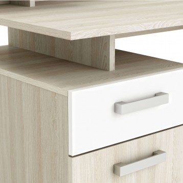 Escritorio Malicia Detalle 2