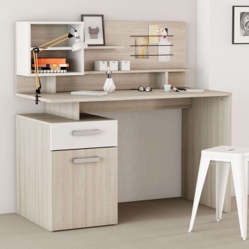 Escritorio Malicia Ambiente 1