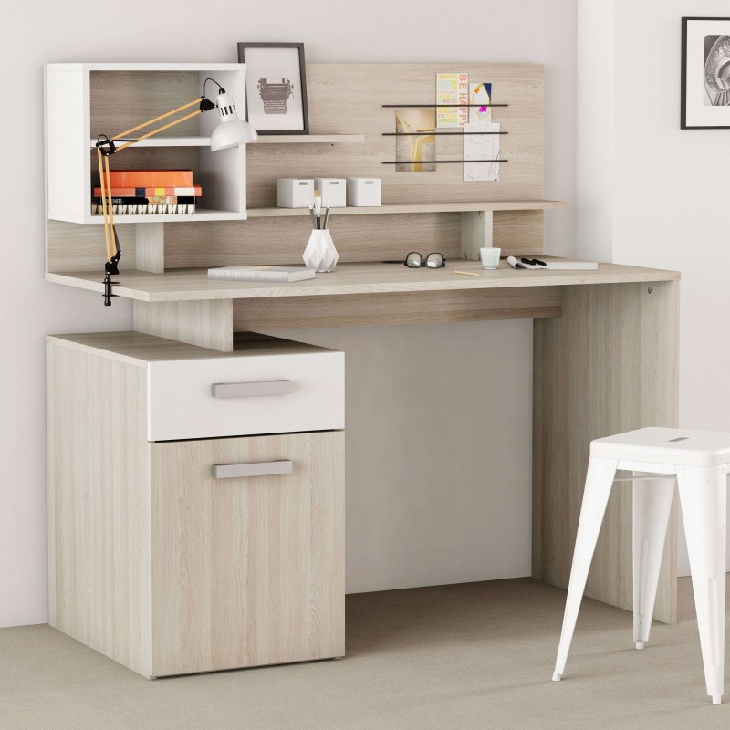 Escritorio Malicia Ambiente 1