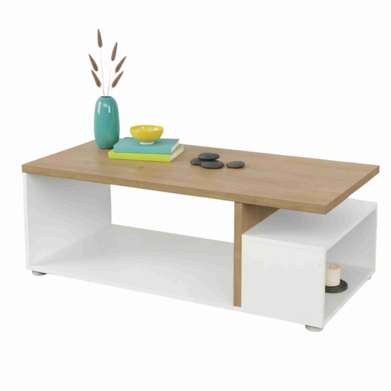 MESA_CENTRO_ACCES_portada
