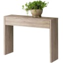 Mueble Recibidor Lupe Color Cambrian 100 cm