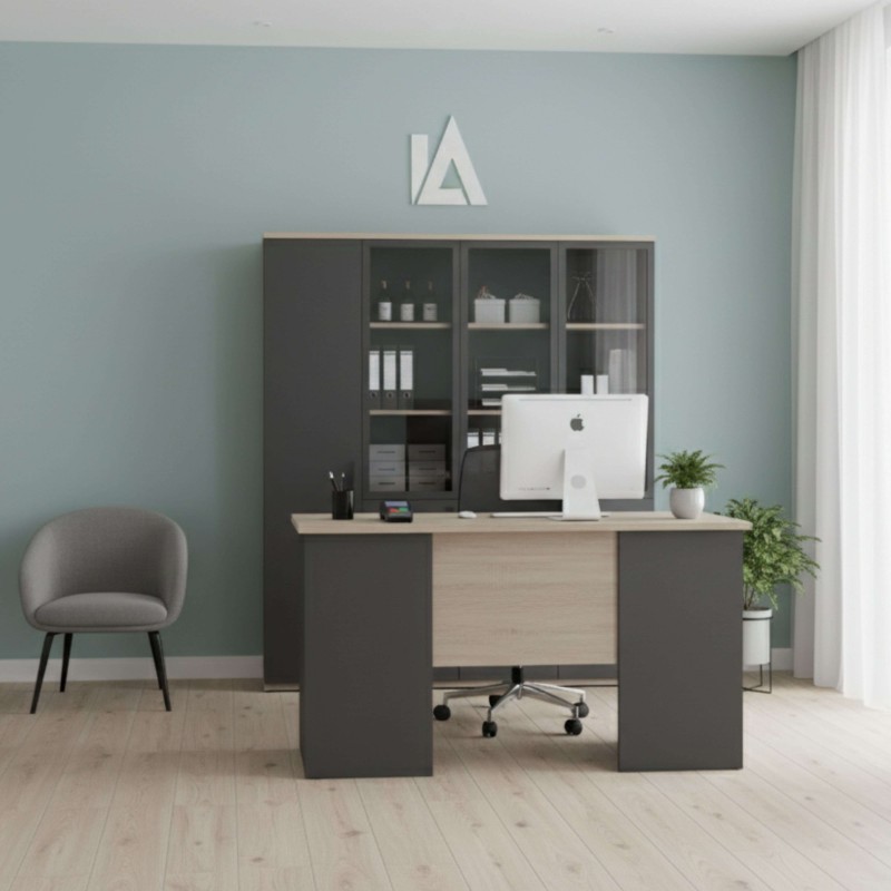 Escritorio Nibis Ambiente 4