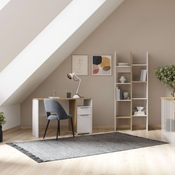 escritorio Acces ambiente 5