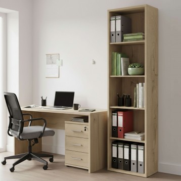 Librería Roble Gold AMbiente 1