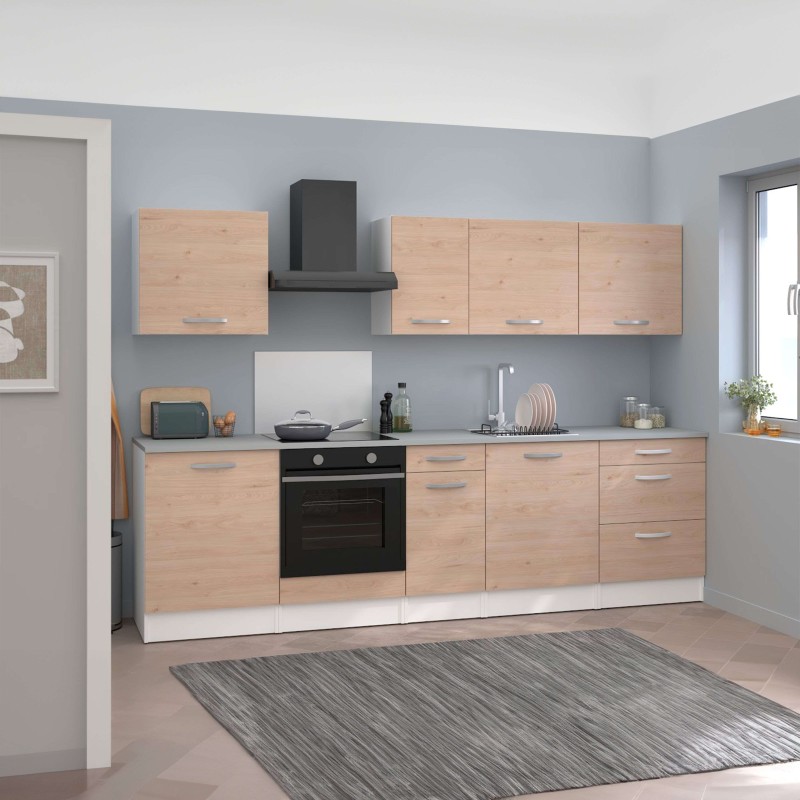 modulo Eko ambiente 5