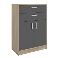 Armario Auxiliar 2 Cajones Oficina Roble Japonés y Gris 79x106x40 cm