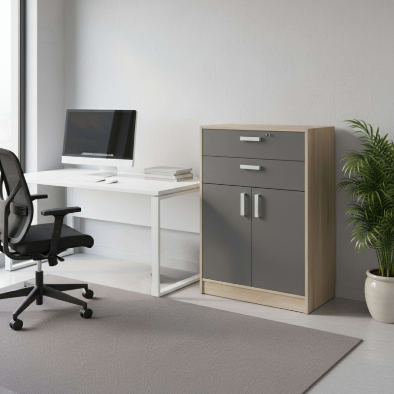 Armario de oficina con puerta y 2 cajones ambiente