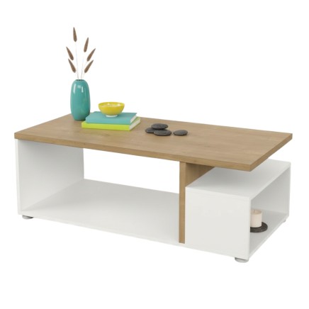 MESA_CENTRO_ACCES_portada