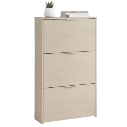 Zapatero recibidor portada