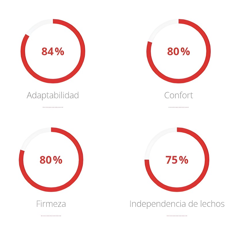 Gráfico de características con cuatro indicadores circulares en rojo mostrando puntuaciones de adaptabilidad confort firmeza e i